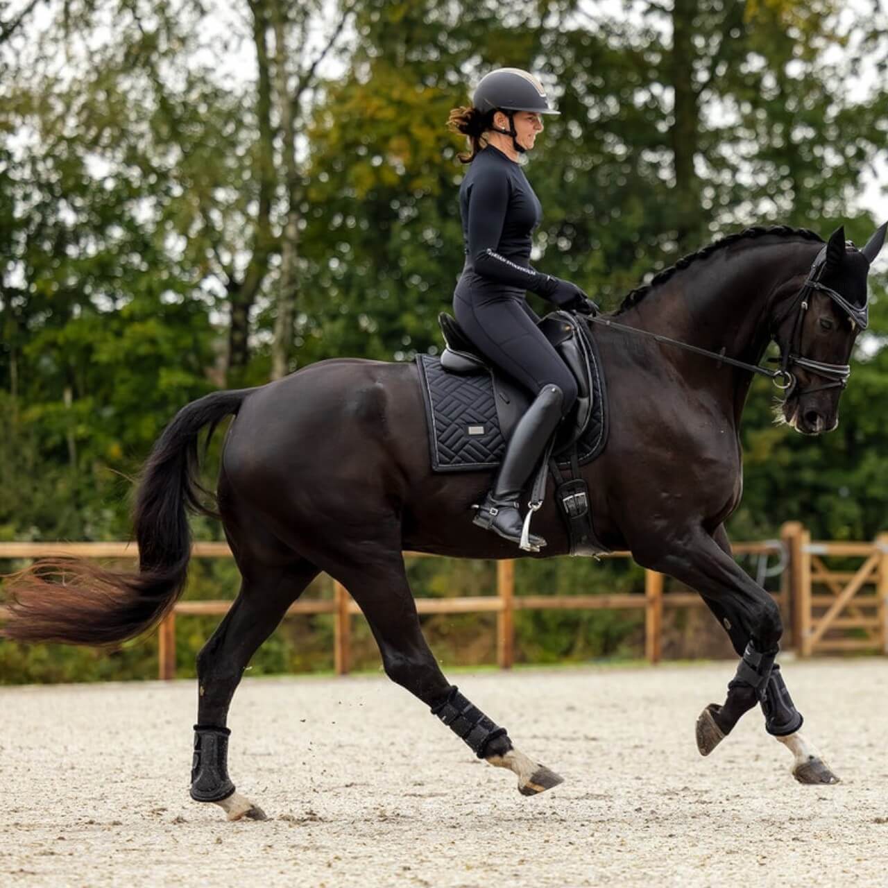 Dressurschabracke Modern Black Schabracke