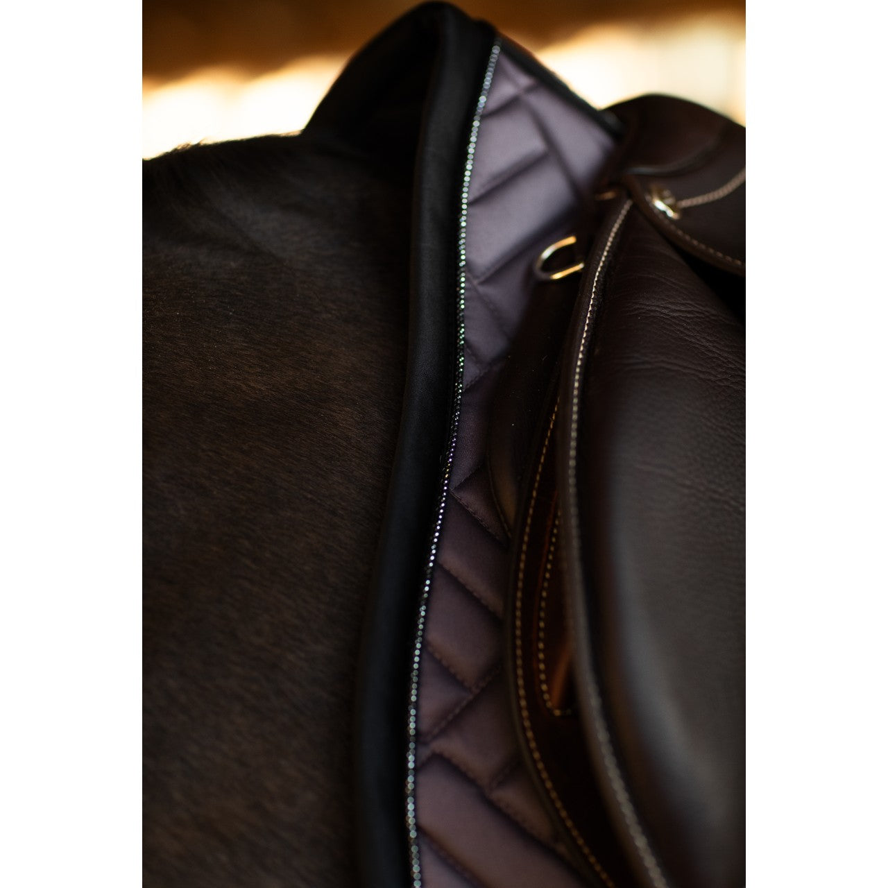Dressurschabracke Modern Dark Violet Schabracke