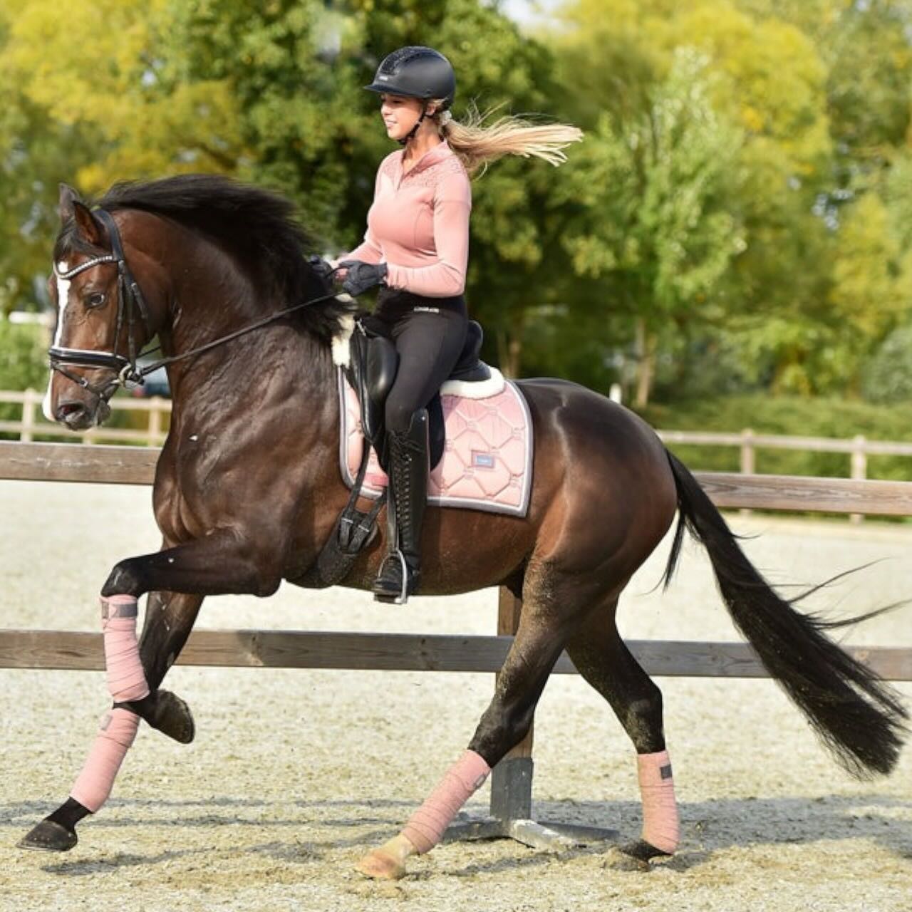 Dressurschabracke Pink Pearl Schabracke