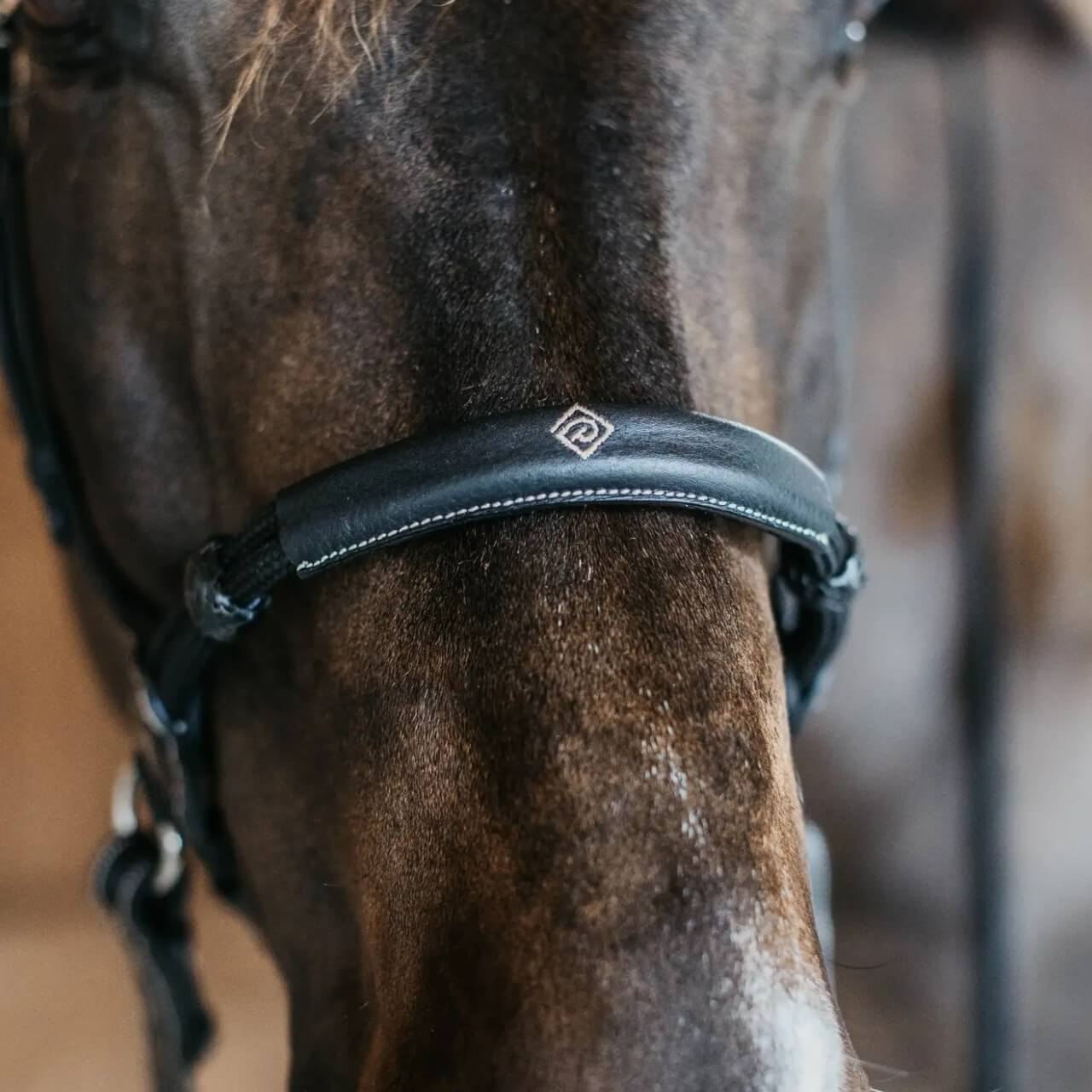 Gebisslose Trense Bitless Bridle