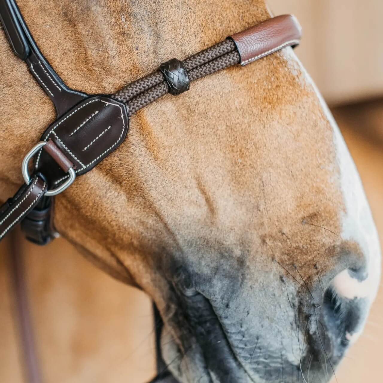 Gebisslose Trense Bitless Bridle