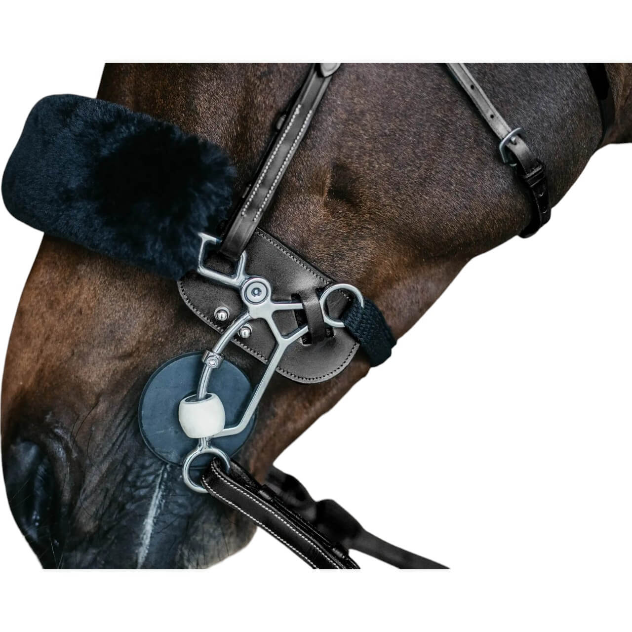 Hackamore Schutz