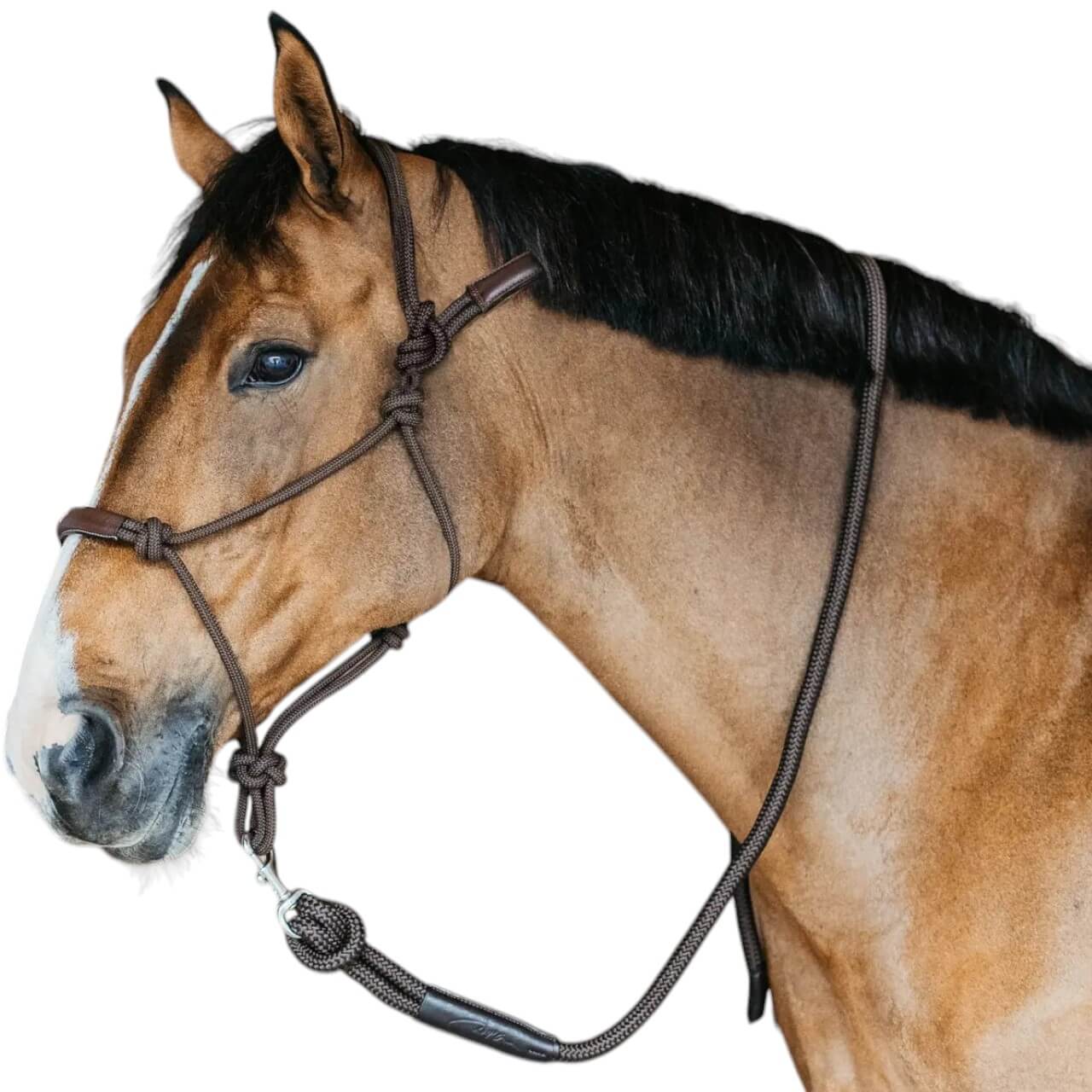 Trainingshalfter Halfter Knotenhalfter