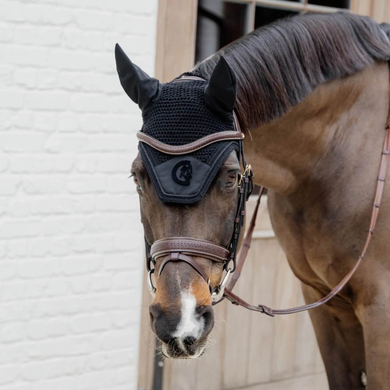 Trense Geflochten mit schwedischem Reithalfter D-Collection