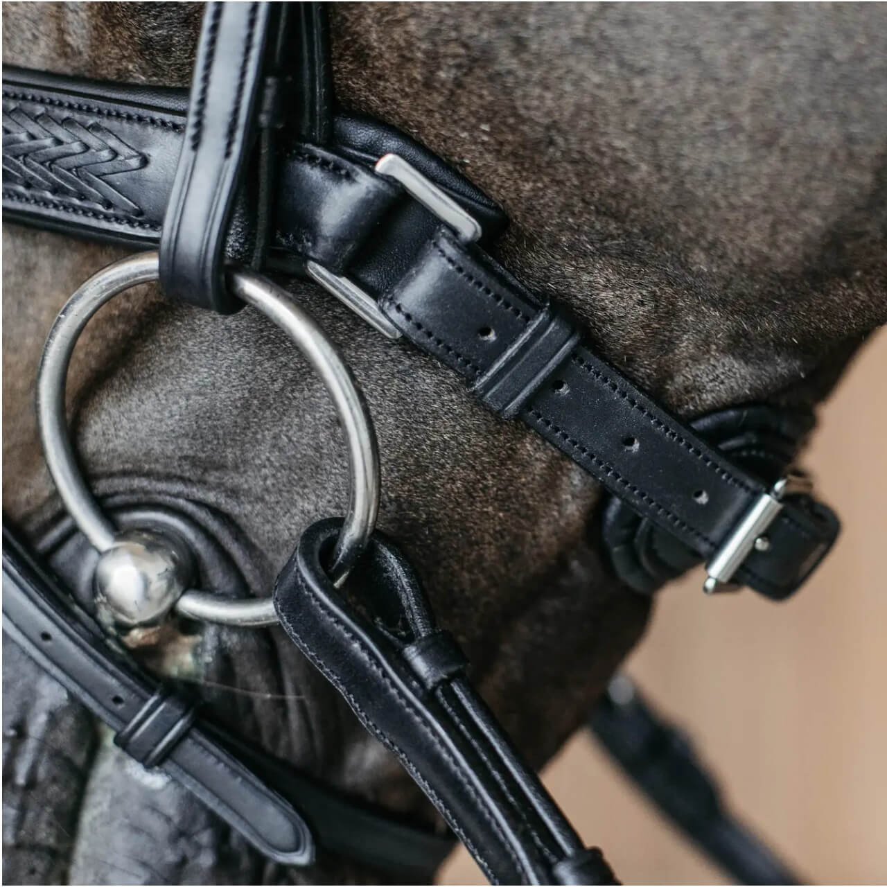 Trense Geflochten mit schwedischem Reithalfter New English Collection