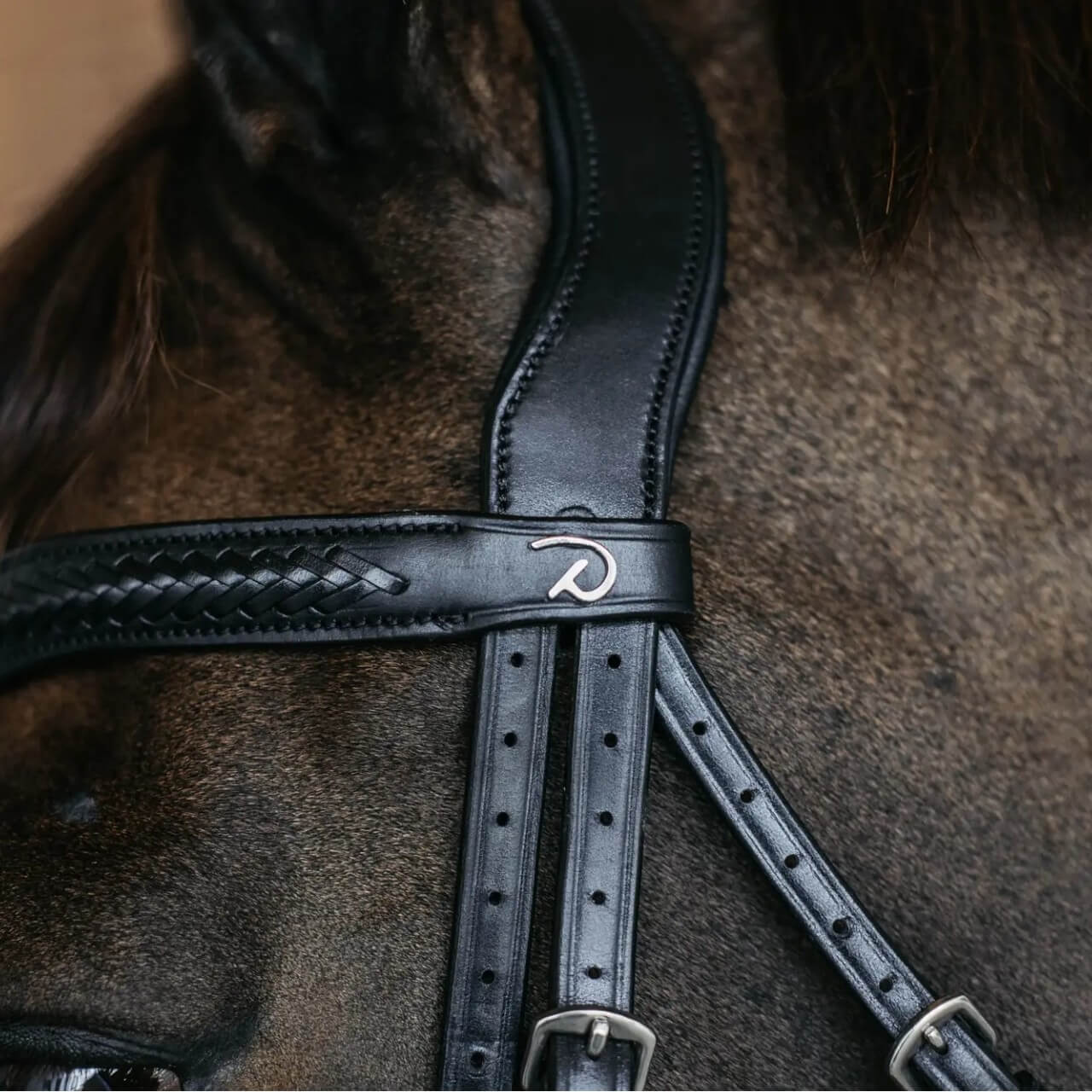 Trense Geflochten mit schwedischem Reithalfter New English Collection