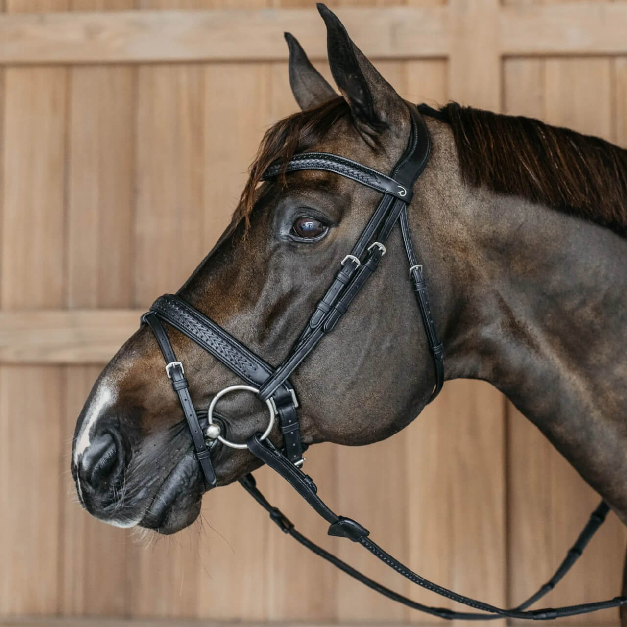 Trense Geflochten mit schwedischem Reithalfter New English Collection