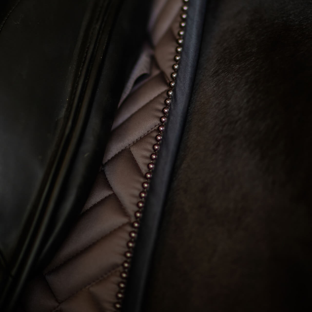 Dressurschabracke Modern Mocha Schabracke