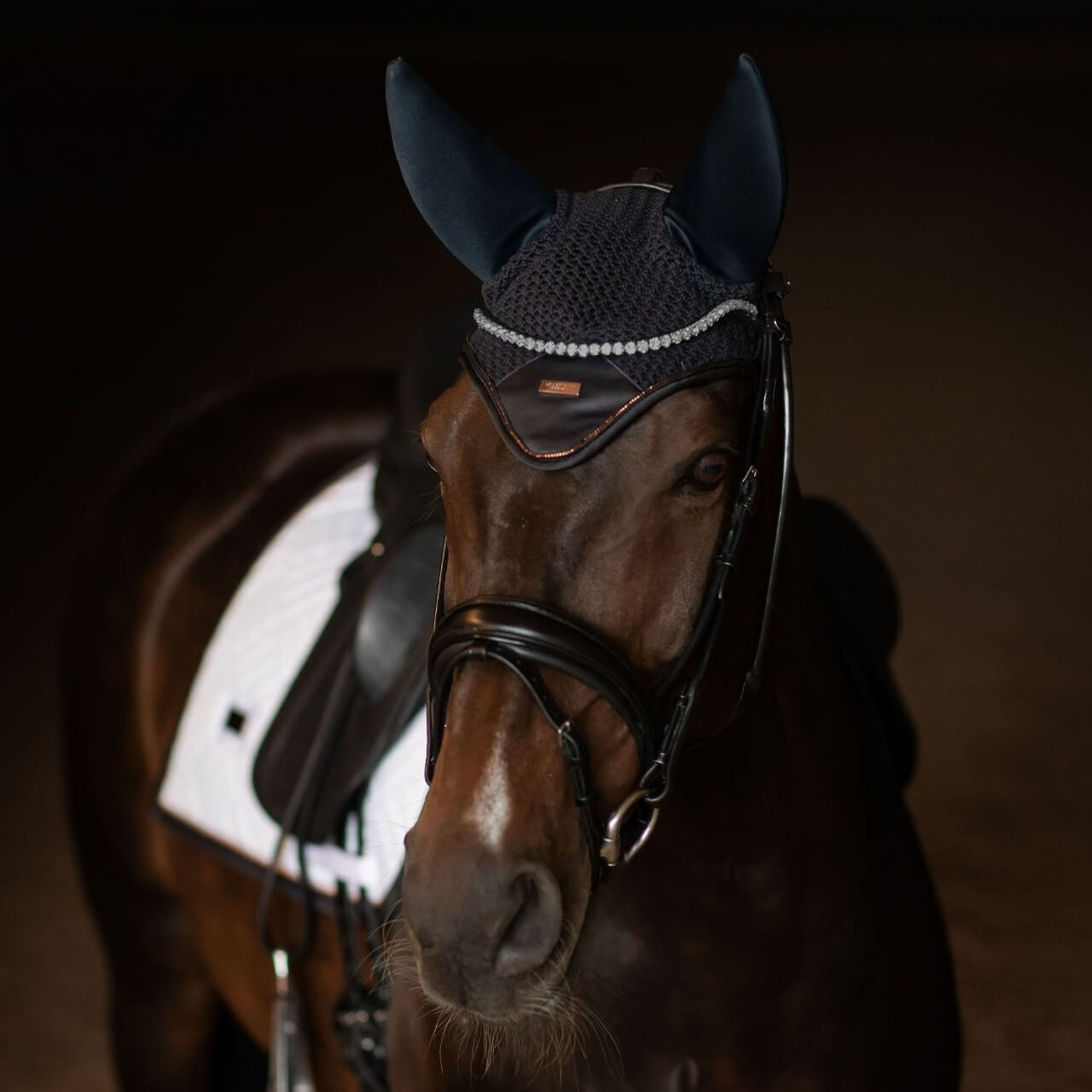 Fliegenmütze Ear Bonnet Modern Padded Dark Ocean Fliegenhaube