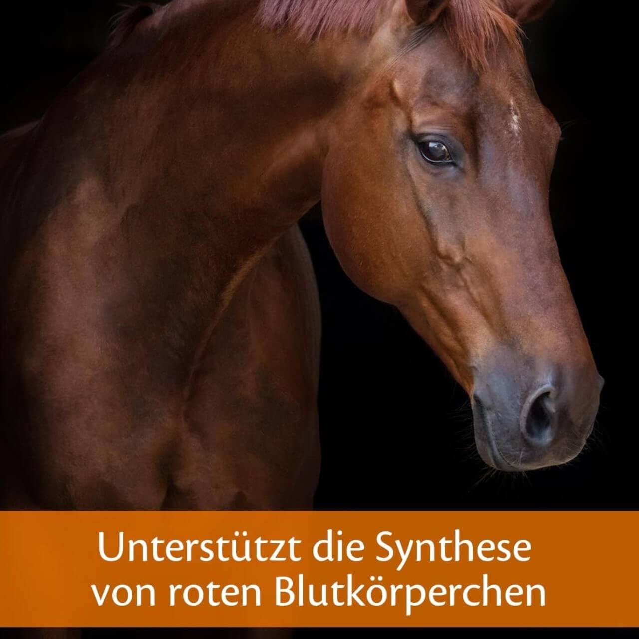 Ergänzungsfuttermitel Haemolytan 400 Zusatzfutter