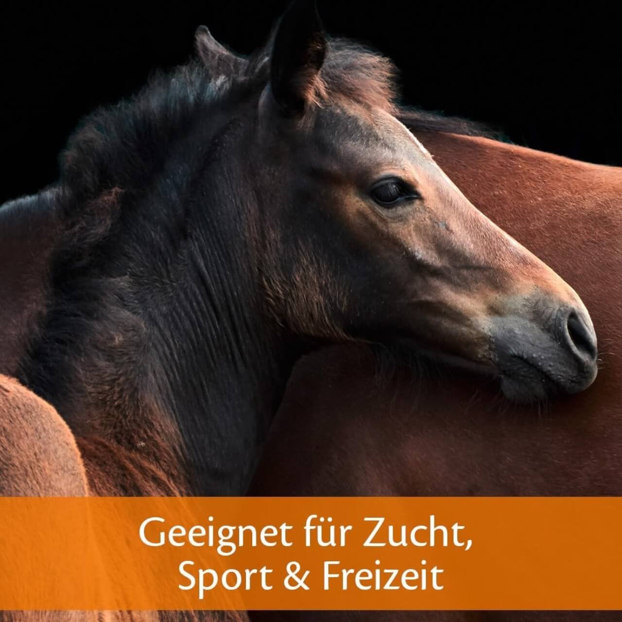 Ergänzungsfuttermitel Haemolytan 400 Zusatzfutter