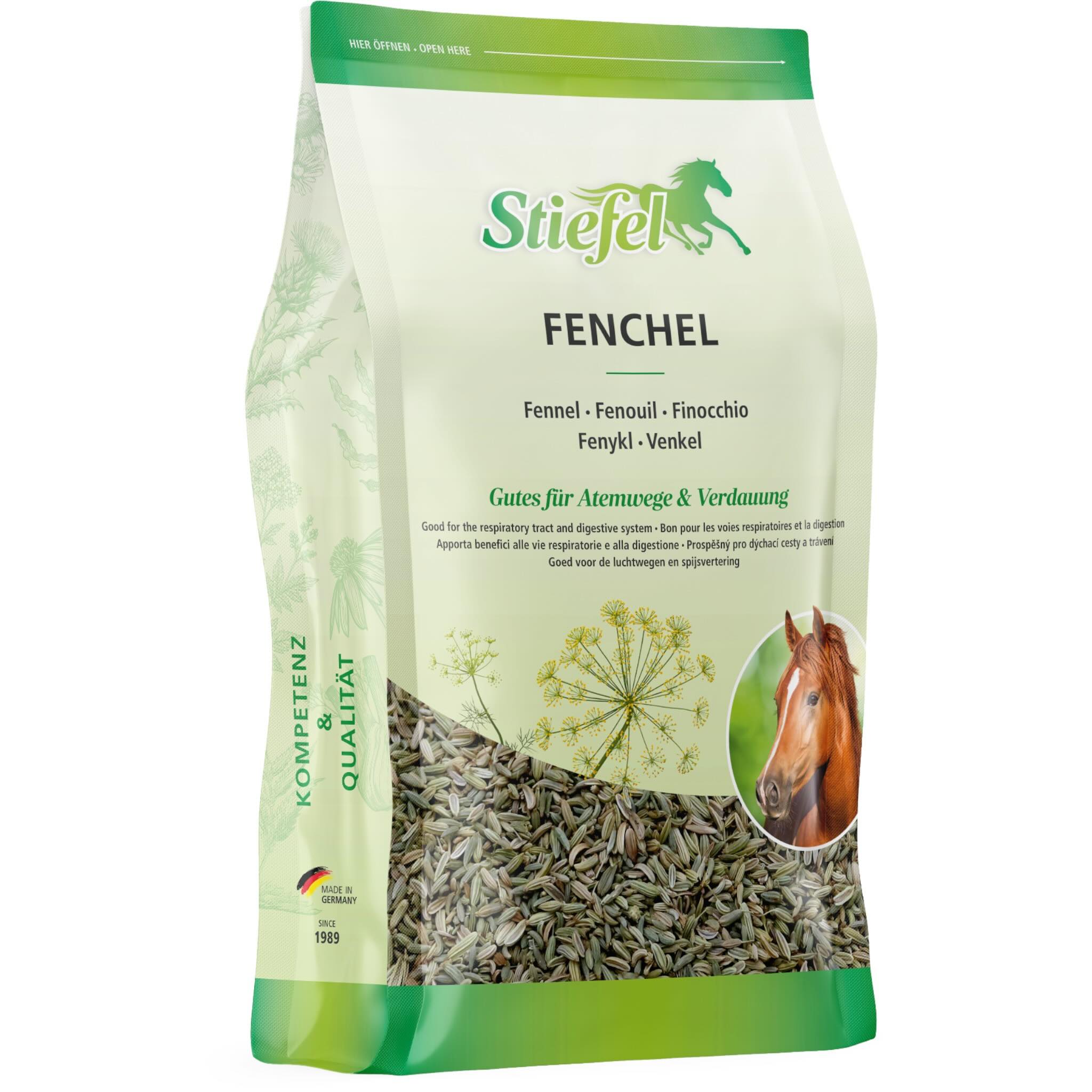 Fenchel Samen Zusatzfutter Nahrungsergänzungsmittel