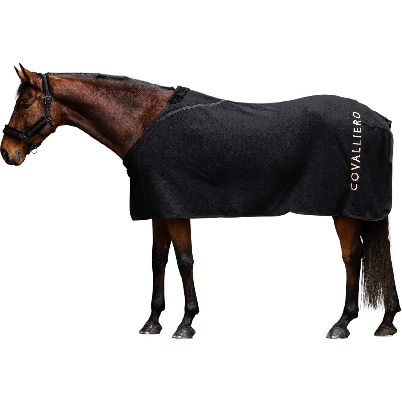 Fleecedecke HW 2025 Abschwitzdecke