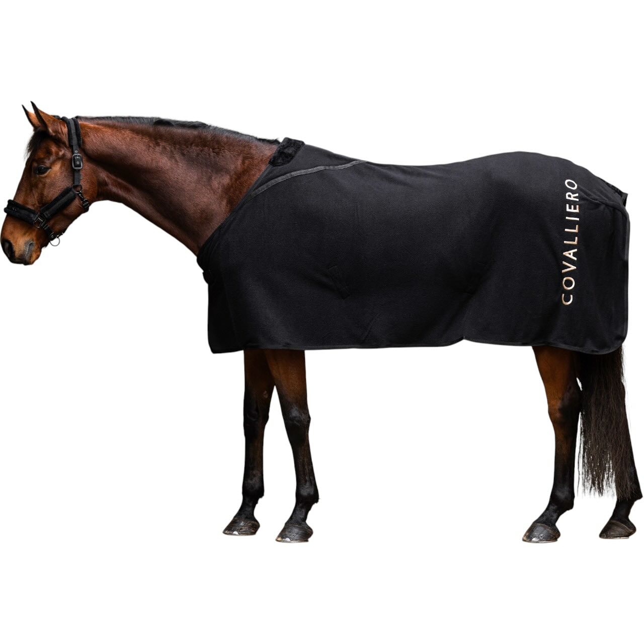 Fleecedecke HW 2025 Abschwitzdecke