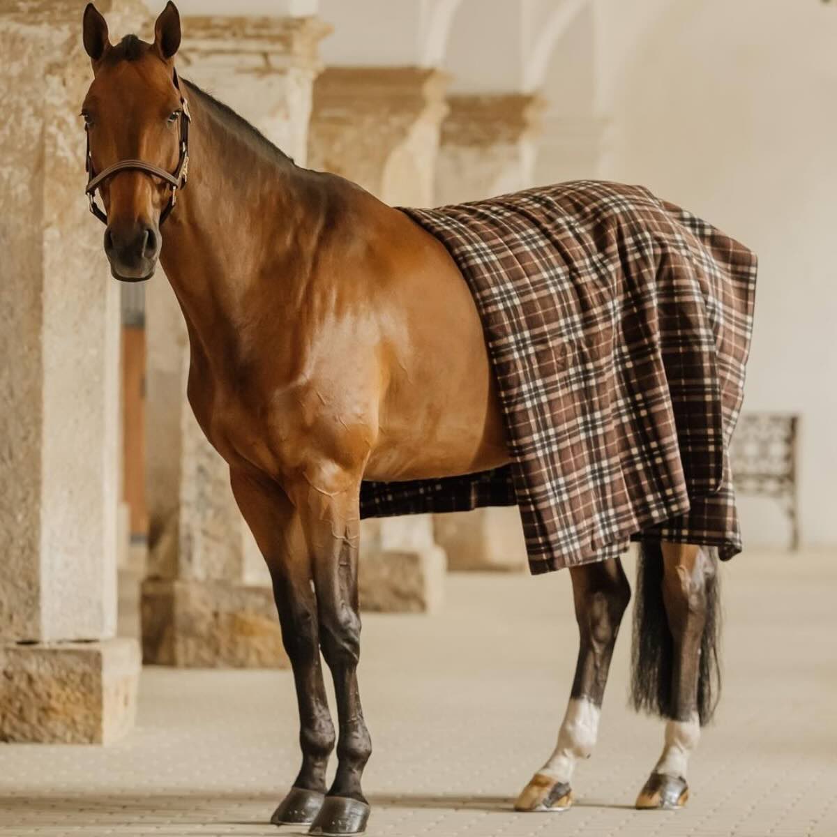 Fleecedecke Square Heavy Pferdedecke