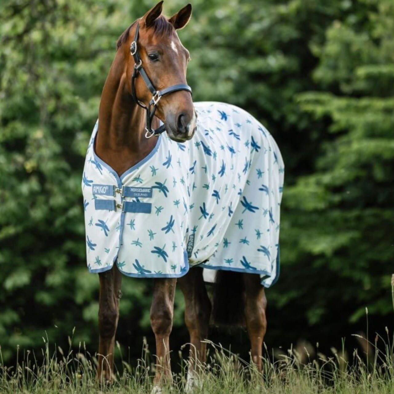 Fliegendecke Amigo Integrated Fly Sheet Fliegenschutz