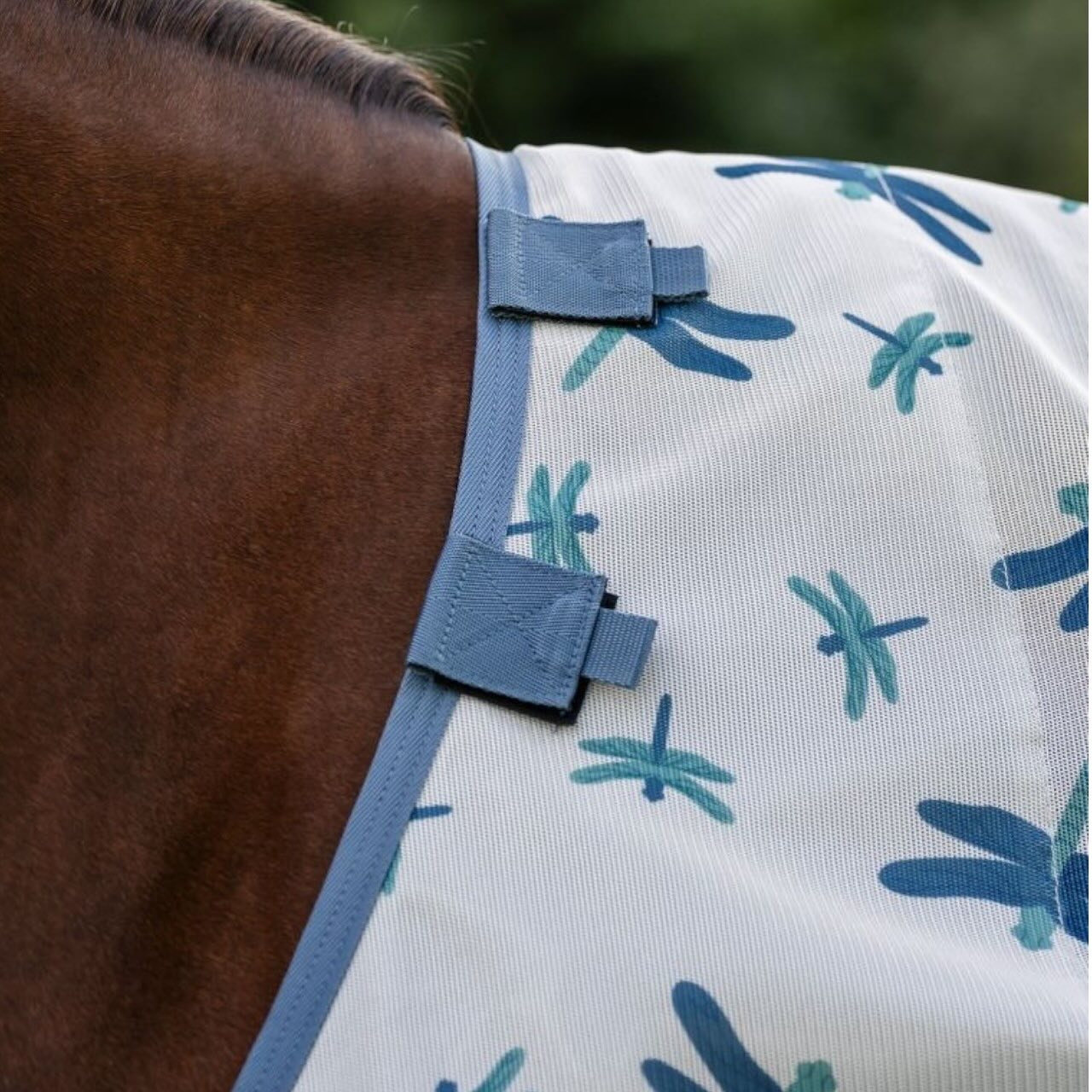 Fliegendecke Amigo Integrated Fly Sheet Fliegenschutz