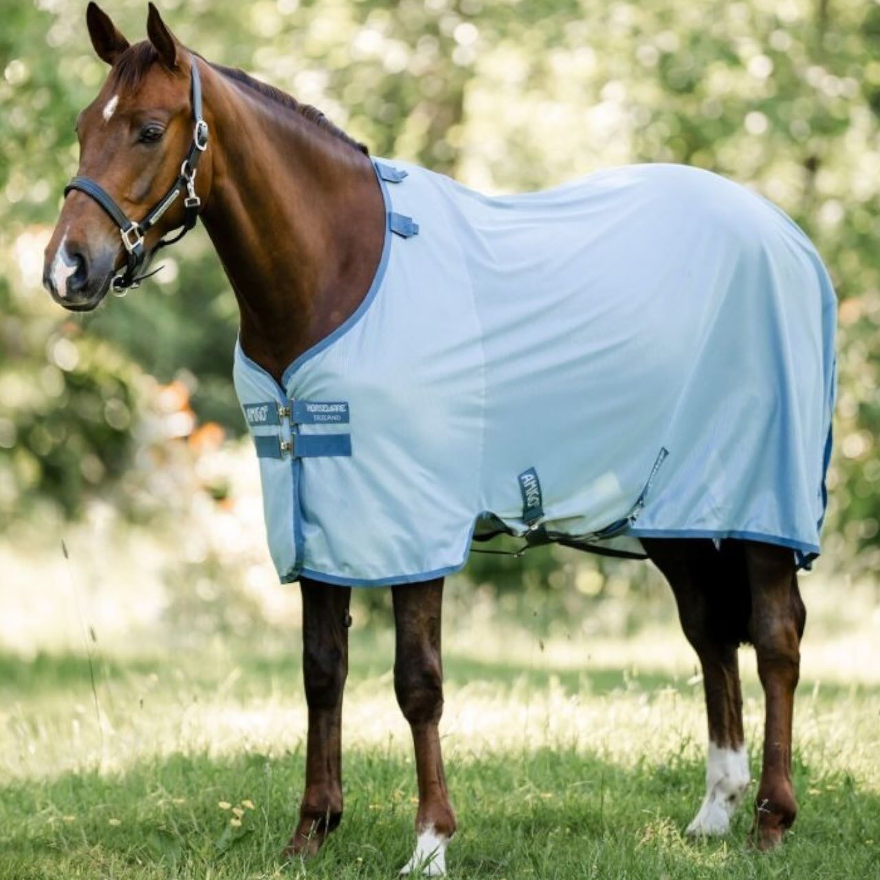 Fliegendecke Amigo Integrated Fly Sheet Fliegenschutz