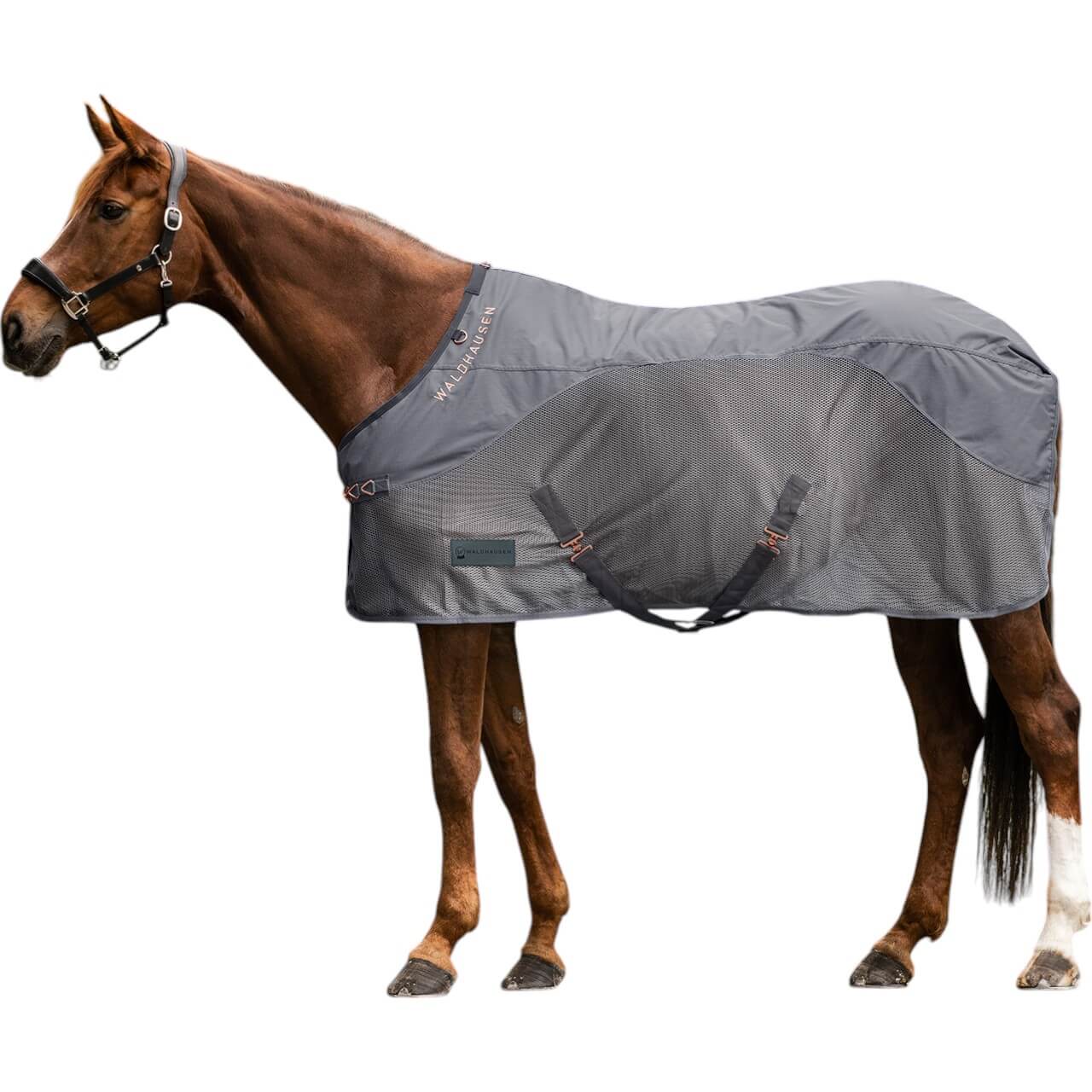 Fliegendecke COMFORT Regendecke