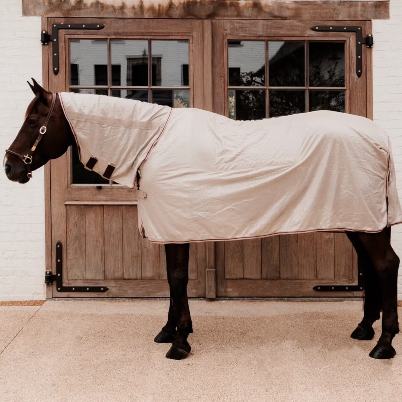 Fliegendecke Comfort Classic mit Halsteil & Bauch Decke