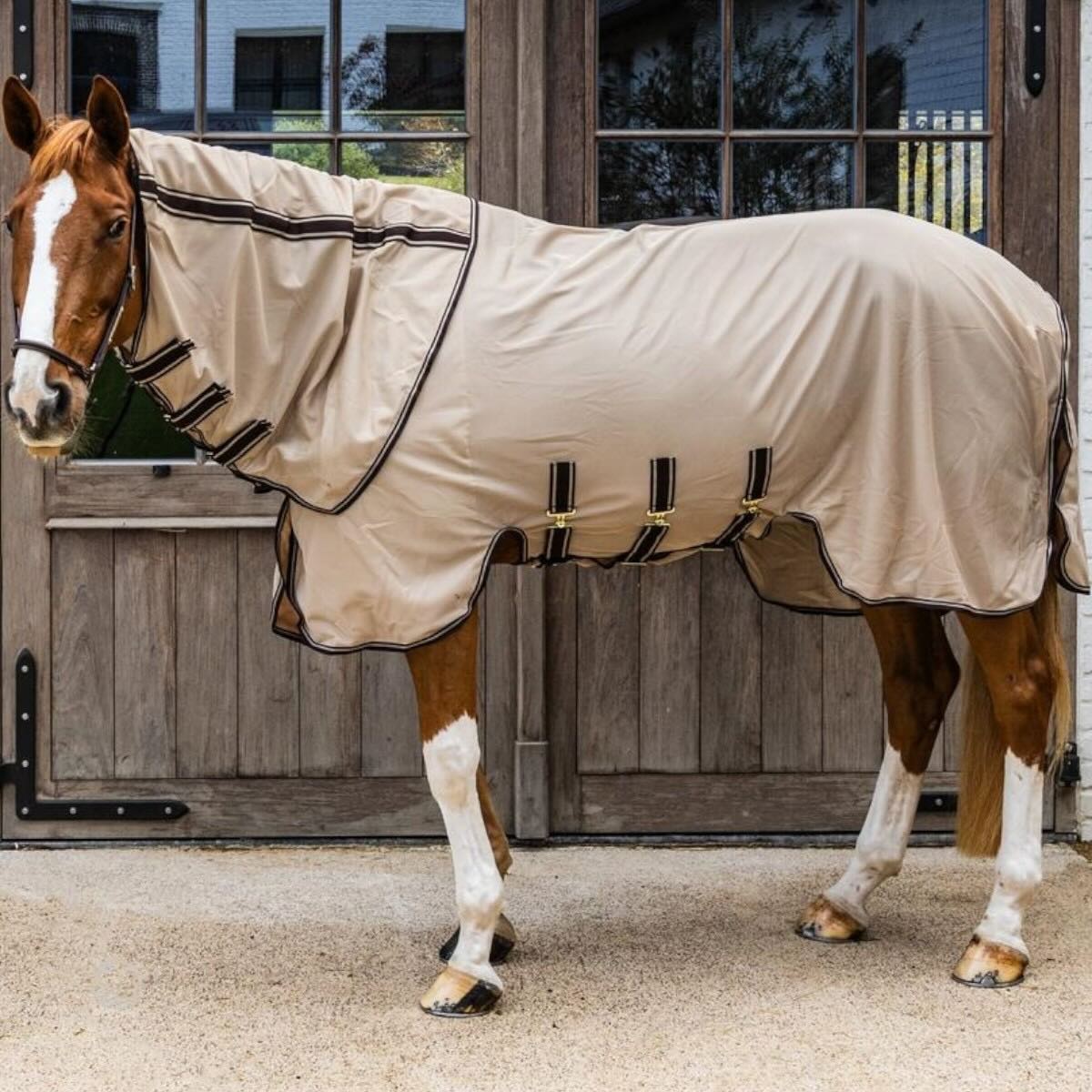 Fliegendecke Comfort mit Halsteil