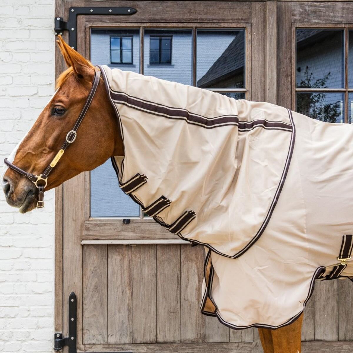 Fliegendecke Comfort mit Halsteil