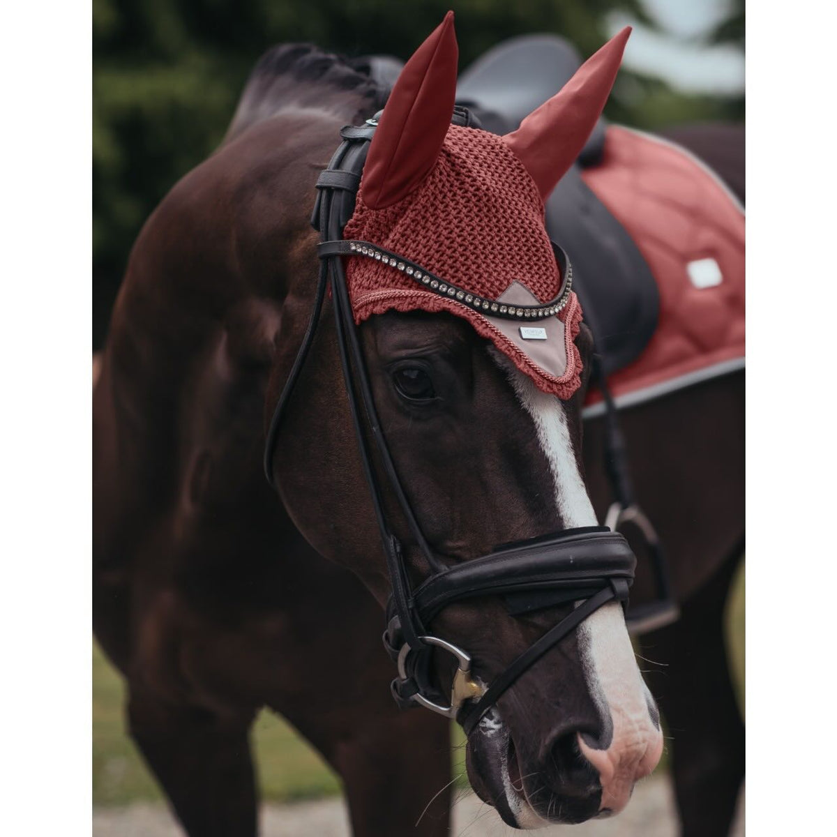 Equestrian Stockholm Fliegenhaube Amber Rose Fliegenmütze, Amber Rose, am Pferd getragen.