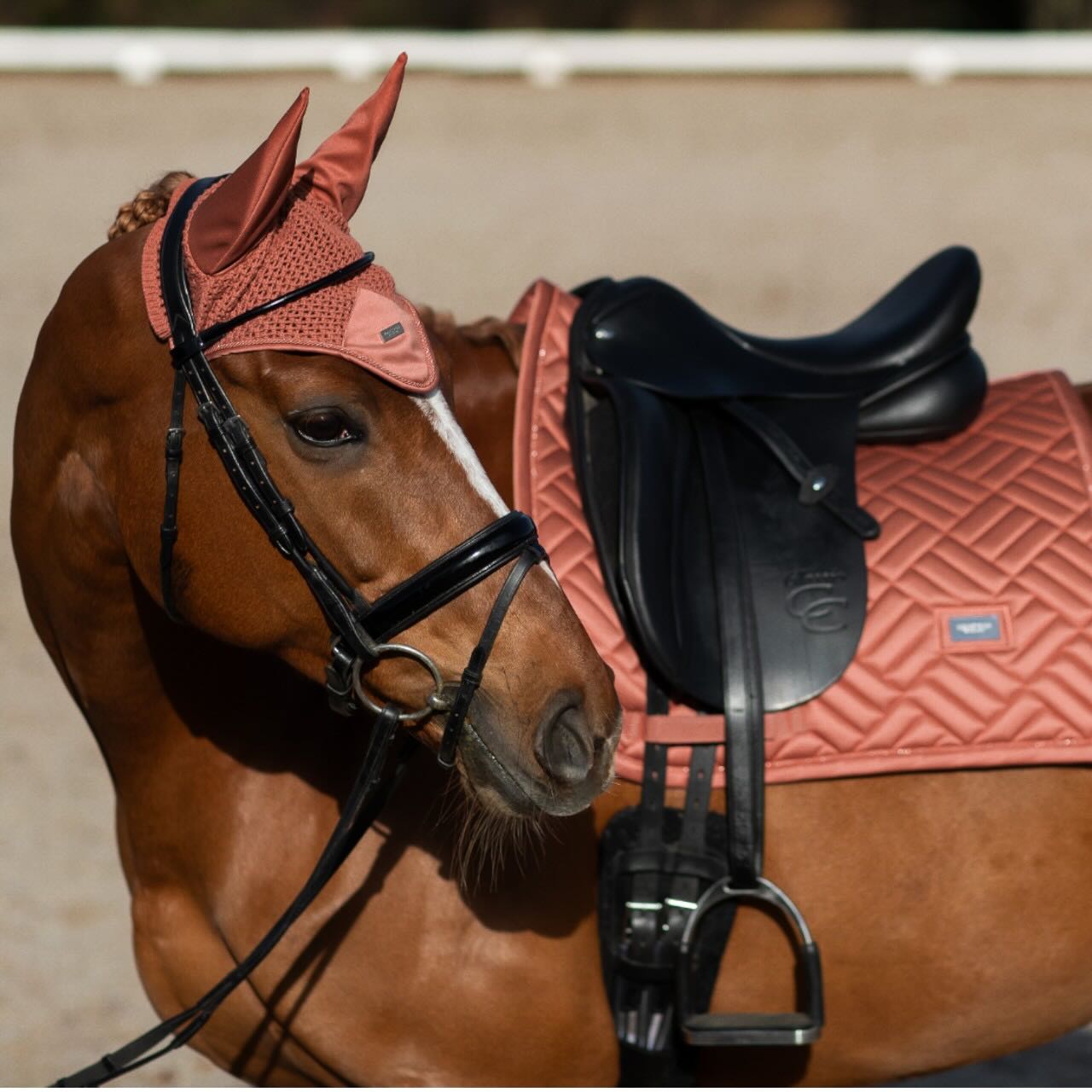 Fliegenhaube Coral Fliegenmütze