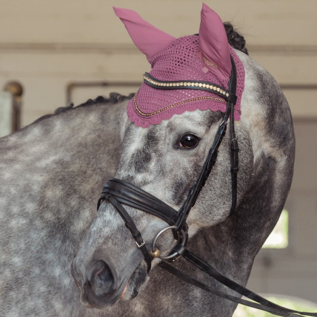 Fliegenhaube Crystal Heritage 2025 Fliegenmütze