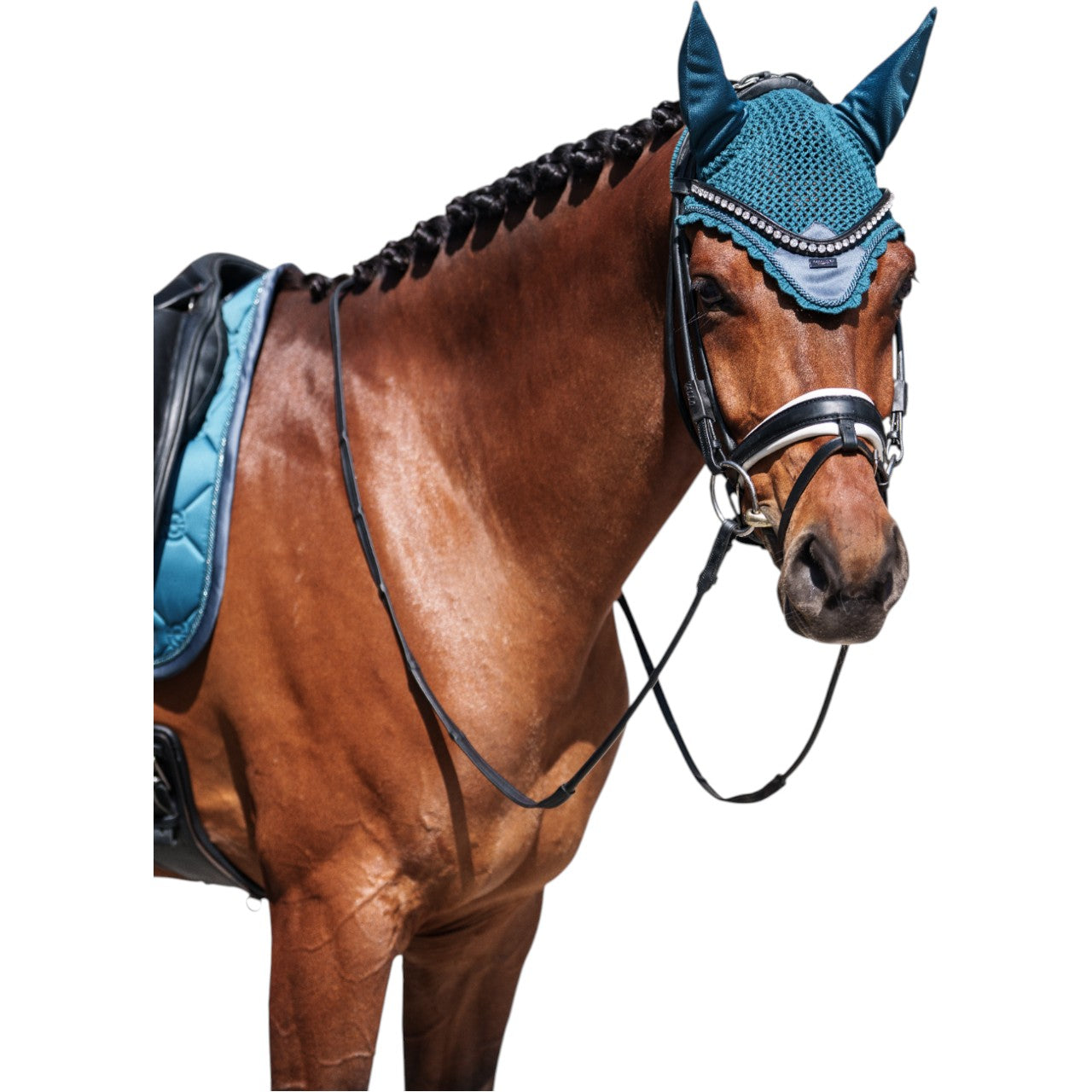 Fliegenhaube Teal Blue Fliegenmütze