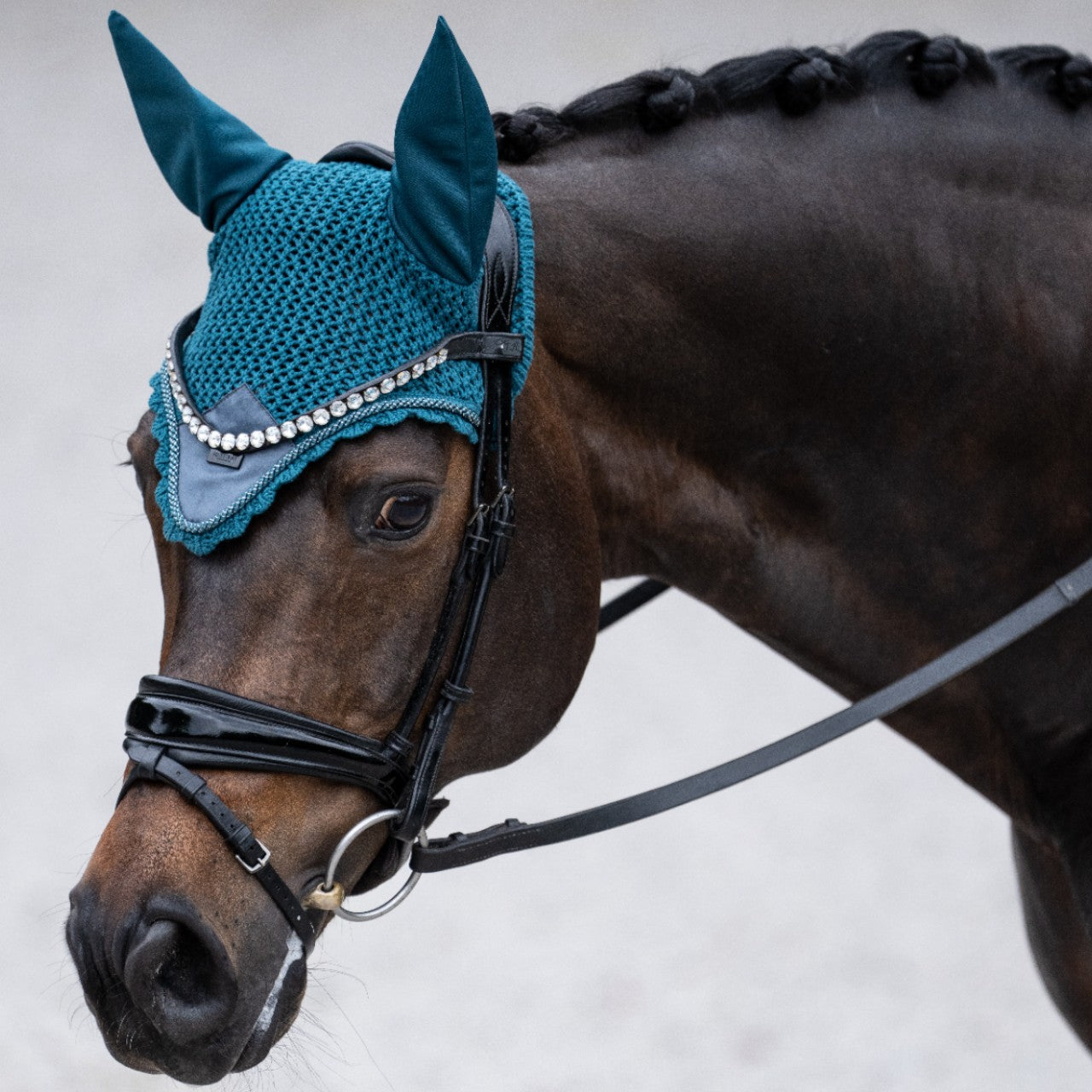 Fliegenhaube Teal Blue Fliegenmütze