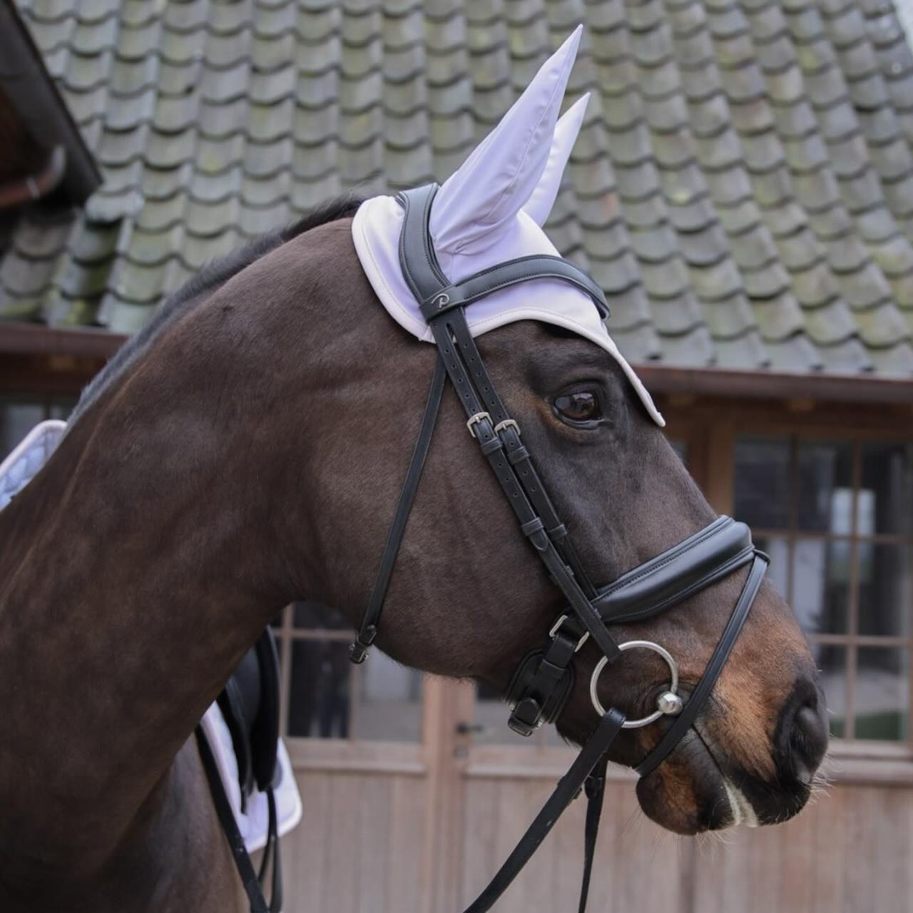 Fliegenhaube Wellington Softshell Fliegenmütze