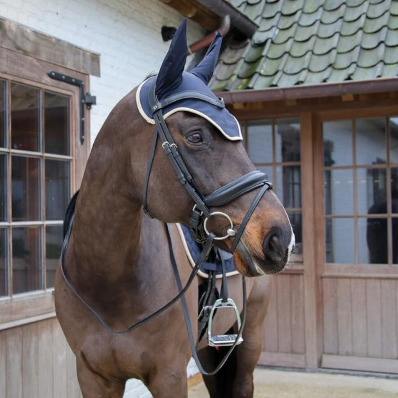 Fliegenhaube Wellington Softshell Fliegenmütze