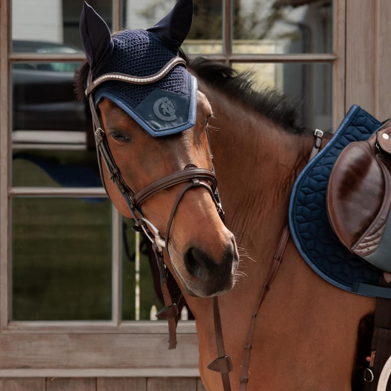 Fliegenhaube Wellington Sparkling Fliegenohren