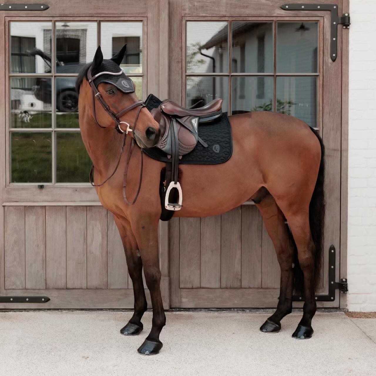 Fliegenhaube Wellington Sparkling Fliegenohren