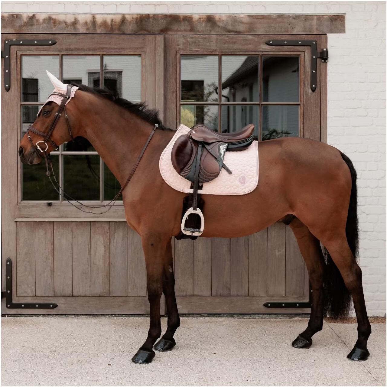 Fliegenhaube Wellington Sparkling Fliegenohren
