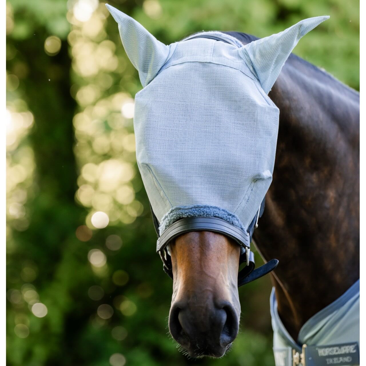 Fliegenmaske Amigo Fly Mask