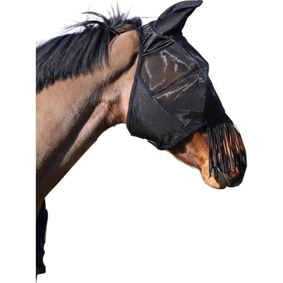 Fliegenmaske Classic mit Ohren und Nasenfransen, Black, Pferd trägt die Maske seitlich.
