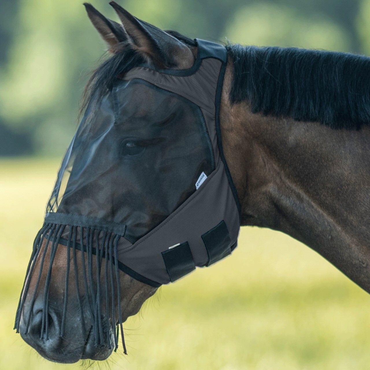 Fliegenmaske Fly Guard Free FR Fliegenschutz
