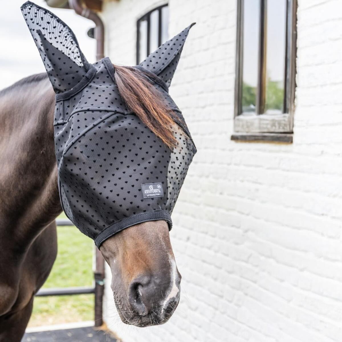 Fliegenmaske Heart mit Ohren und Nase Fliegenschutz