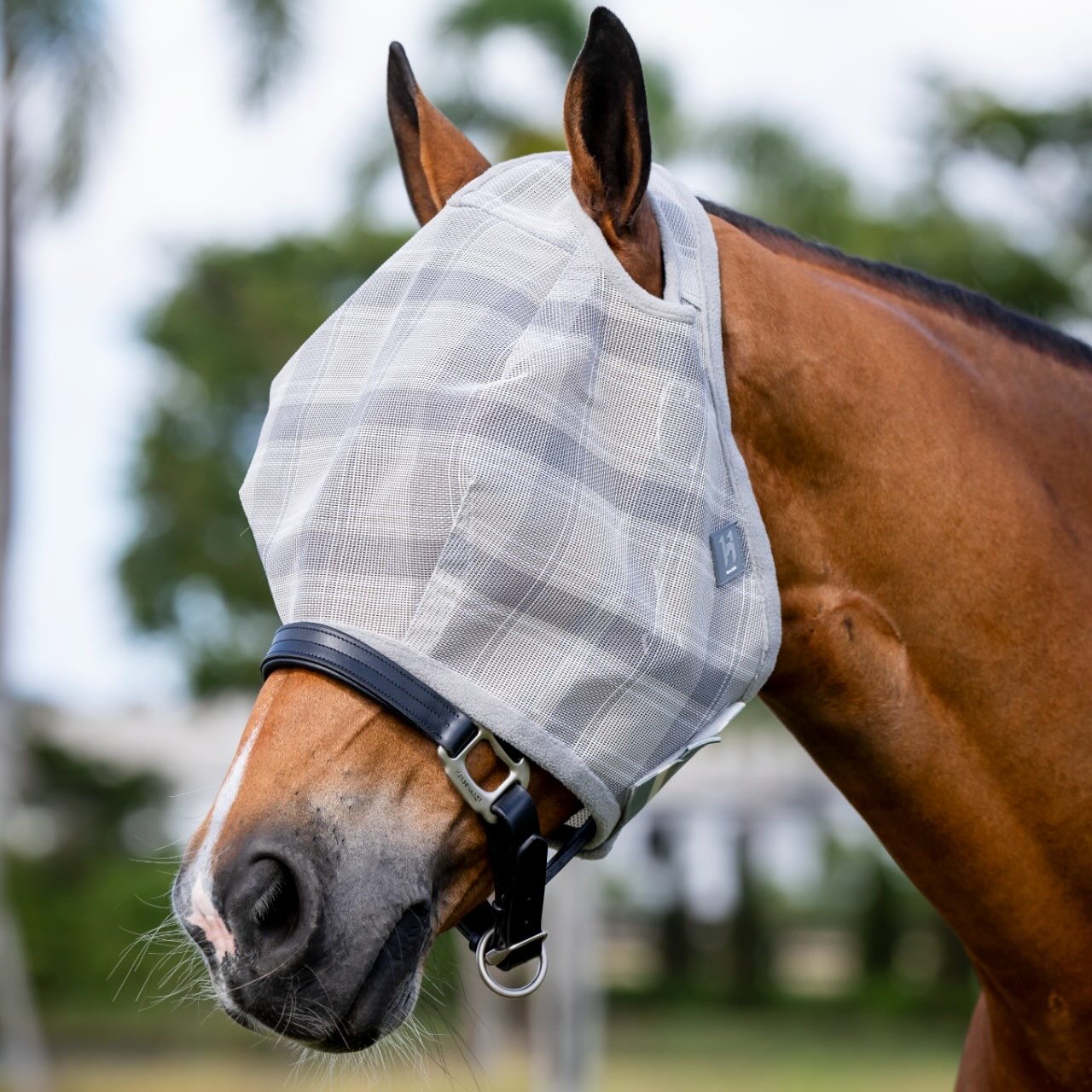 Fliegenmaske Newmarket No Ears Fly Mask