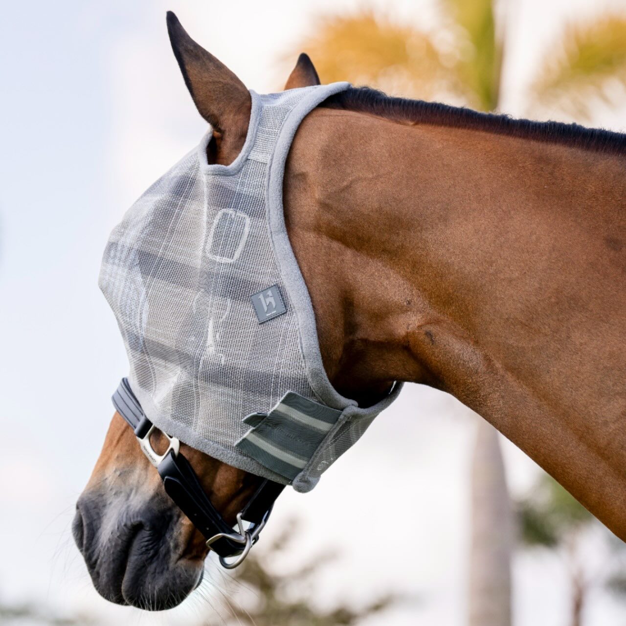 Fliegenmaske Newmarket No Ears Fly Mask