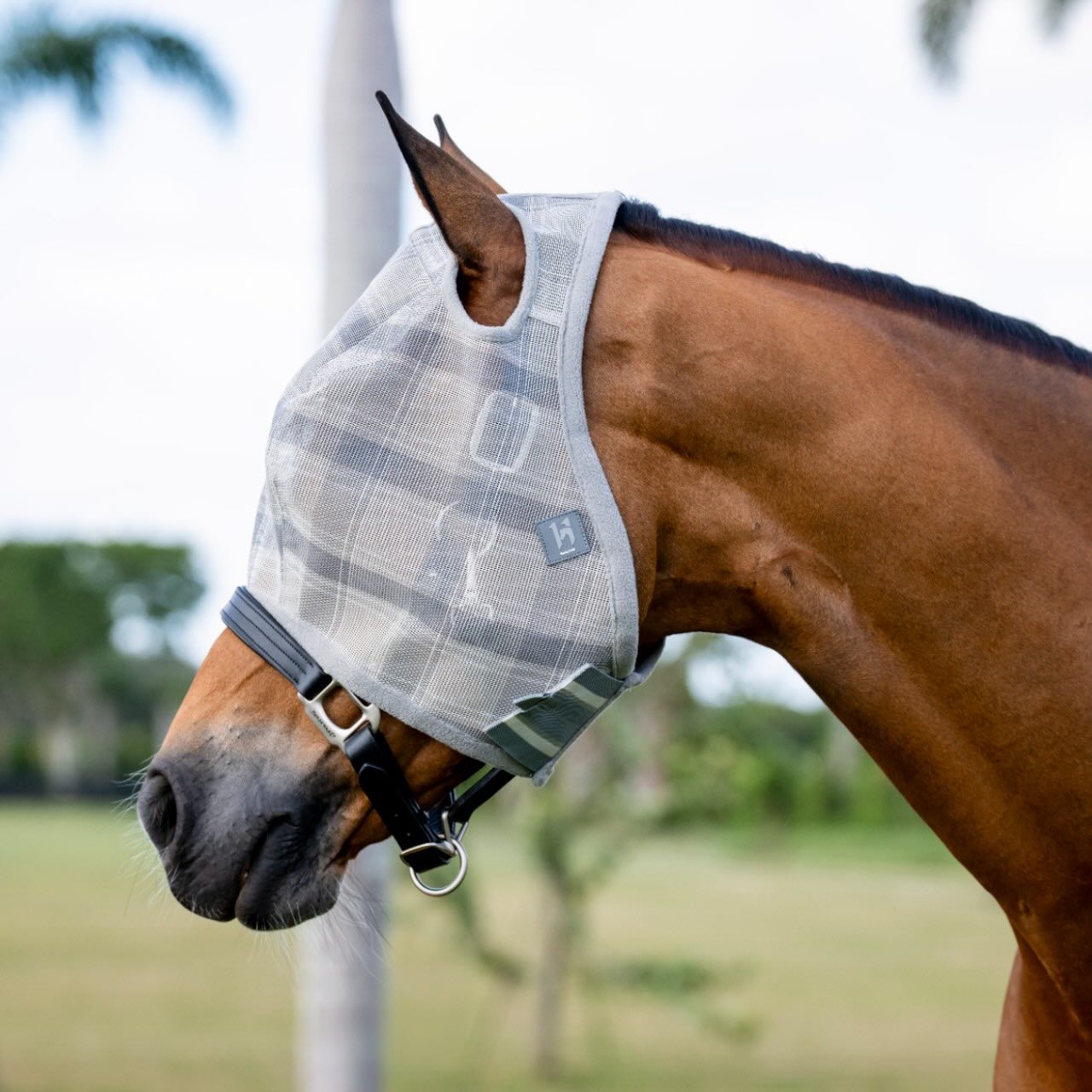 Fliegenmaske Newmarket No Ears Fly Mask