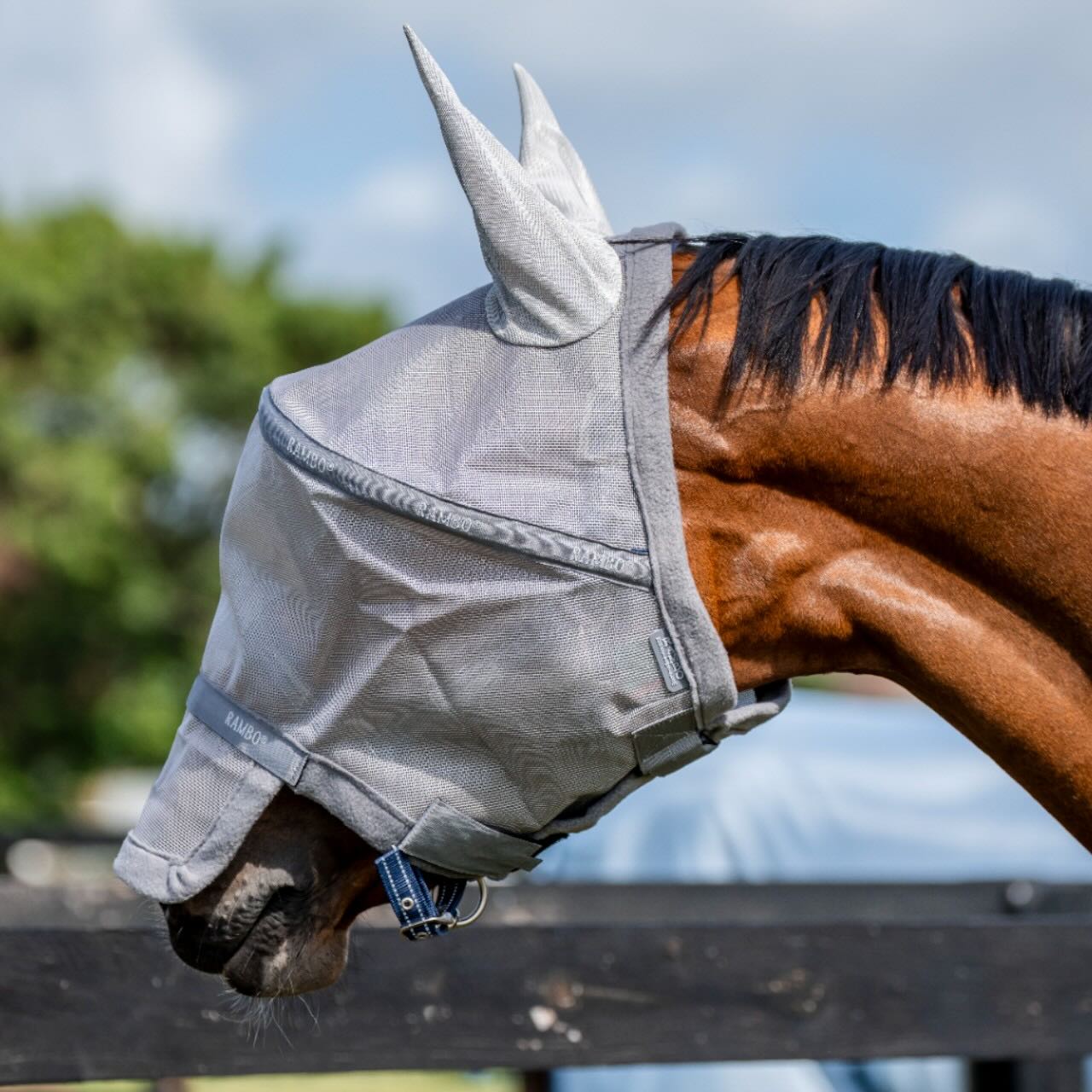 Fliegenmaske Rambo Flymask Plus