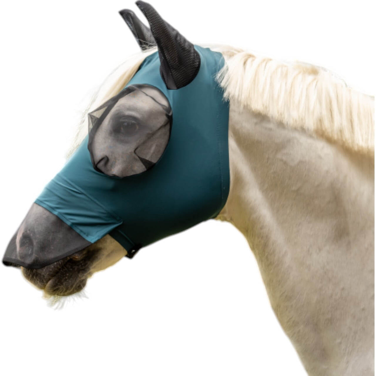 Fliegenmaske Twin Fit Flexi Plus Fliegenschutz, Teal, am Pferd getragen.