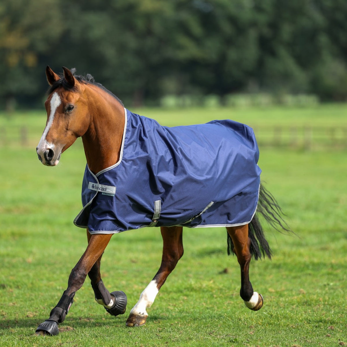 Outdoordecke 0g Freedom Turnout Light Regendecke