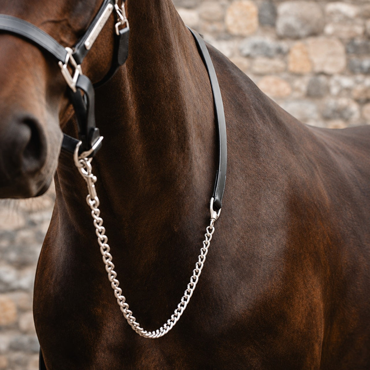 Führkette Horseware Leder
