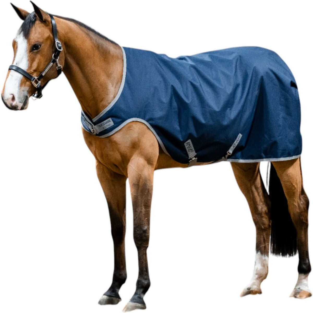 Horseware Ireland Führanlagendecke Amigo 100g Ripstop 900D Walker Rug, Navy/Titanium Grey, Pferd trägt die Decke.