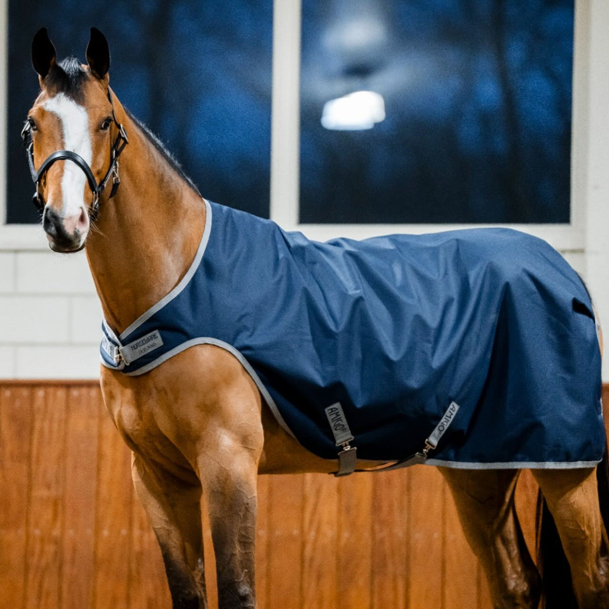 Horseware Ireland Führanlagendecke Amigo 100g Ripstop 900D Walker Rug, Midsummer Blue, Pferd in der Führanlage.