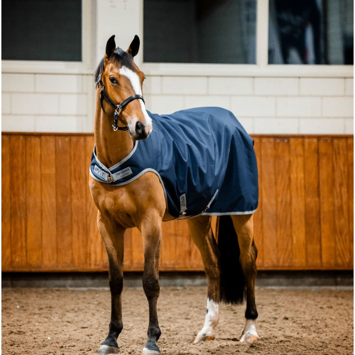 Horseware Ireland Führanlagendecke Amigo 100g Ripstop 900D Walker Rug, Blau, Pferd in der Reithalle.